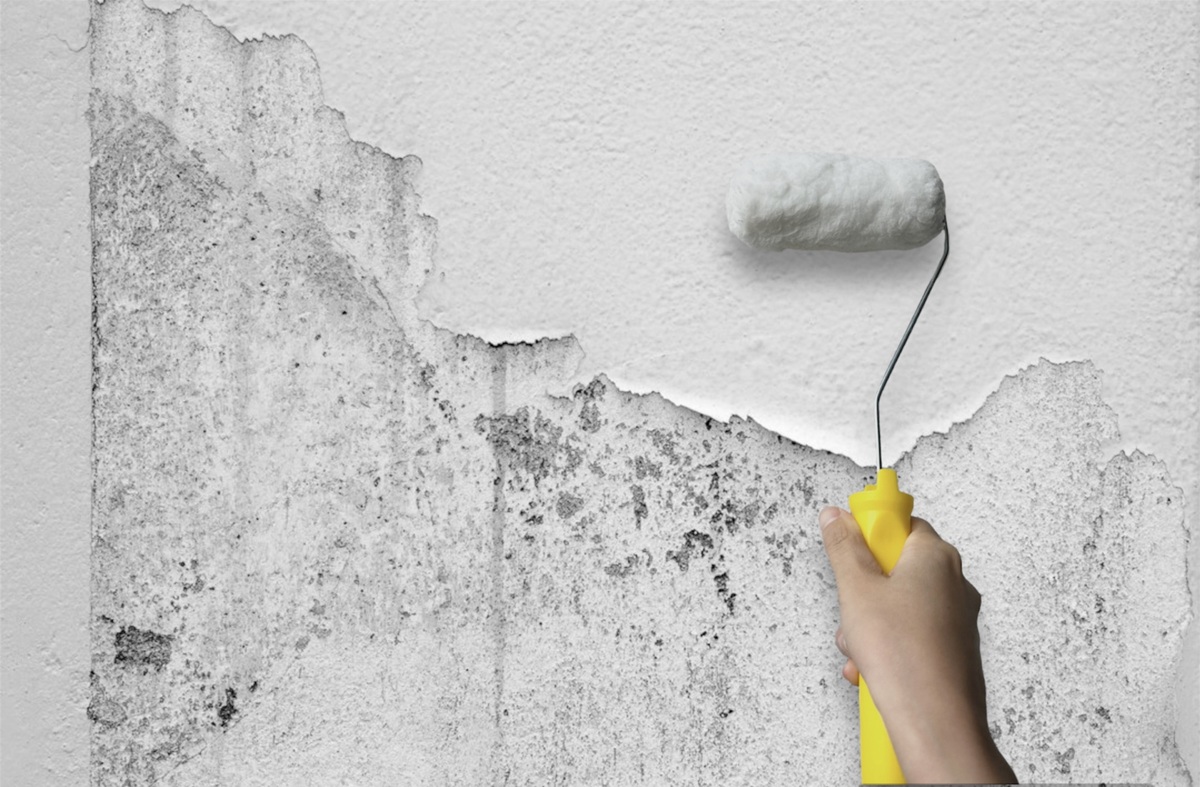 外壁塗装はDIYできる？プロとの違いやリスクを徹底解説