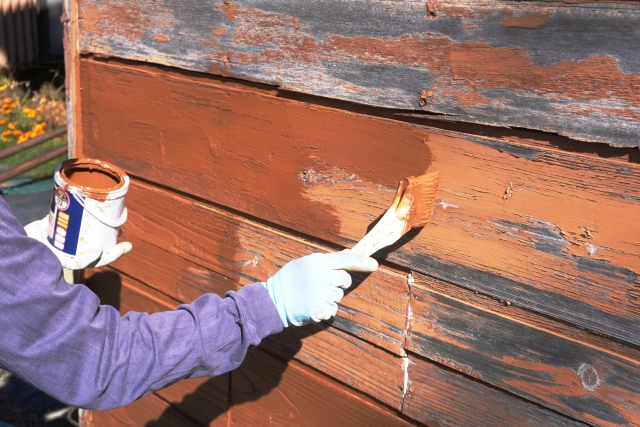 外壁塗装はDIYできる？プロとの違いやリスクを徹底解説 (3)
