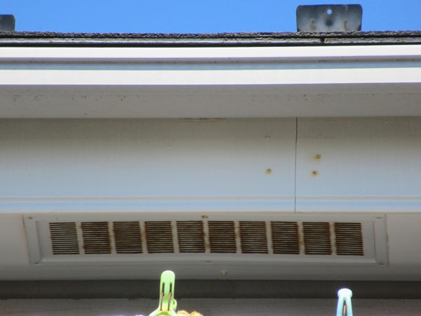 神奈川県鎌倉市・現場調査⑤雨樋は汚れ、鼻隠しは錆びが発生していました (1)