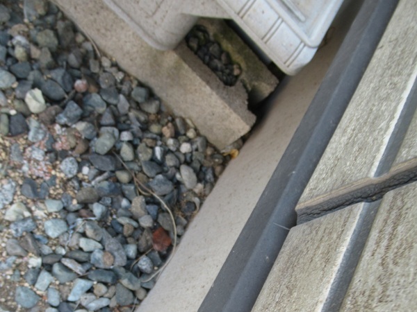 神奈川県逗子市・現場調査⑥水切りやシャッターボックスなどの水切り、雨樋の劣化症状 (4)