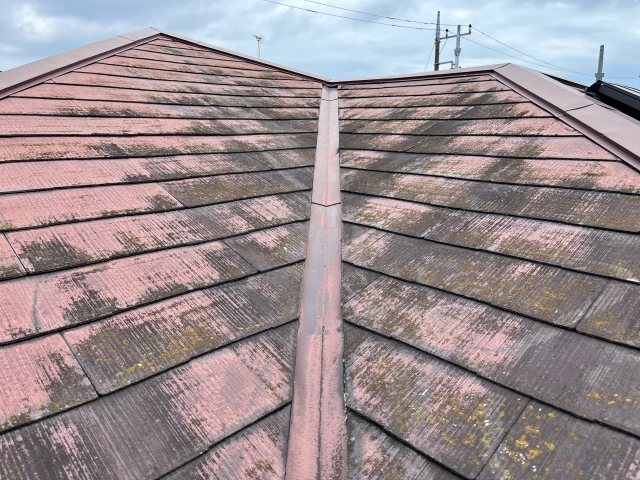 築10年経ったら必要な屋根塗装をやらないとどうなる放置するリスクとは (2)