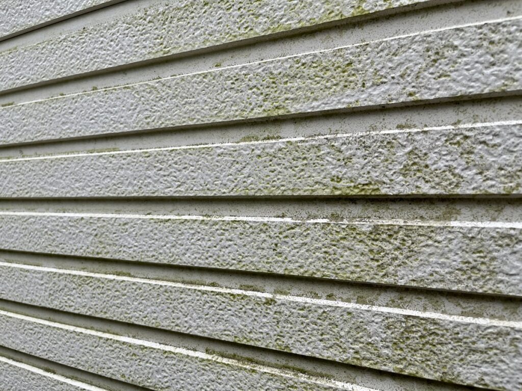 外壁に生えたコケの効果的な落とし方とキレイを維持する予防方法とは？
