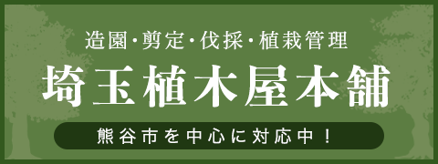 造園・剪定・伐採・植栽管理 埼玉植木屋本舗 熊谷市を中心に対応中!