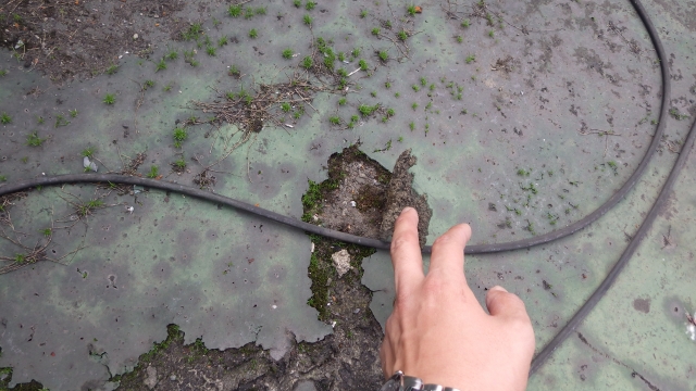 雨漏りしていないのに防水工事は必要劣化サインの見分け方 (2)